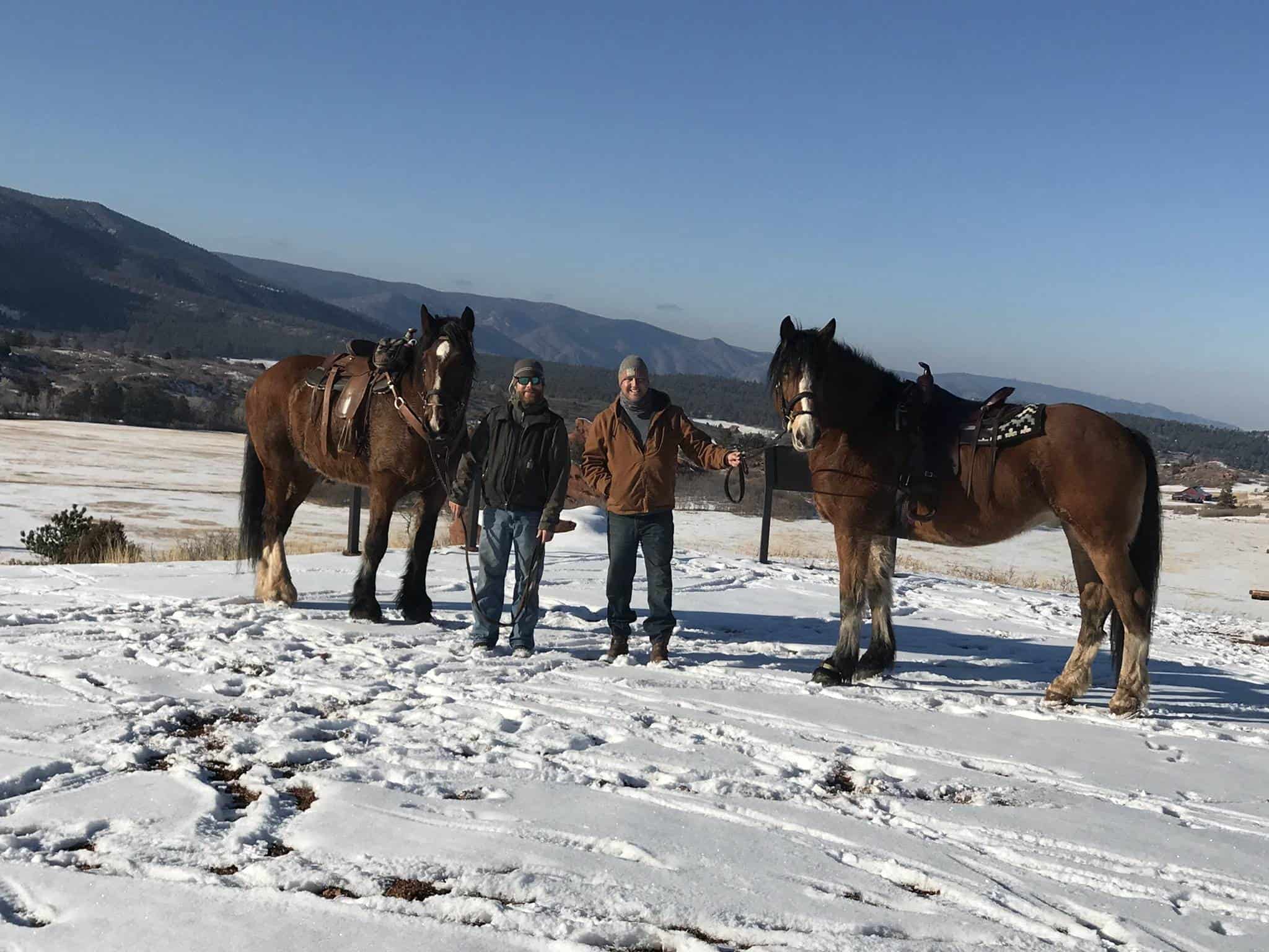 KR Training Equine Matchmaker Colorado's Equine Matchmaker
