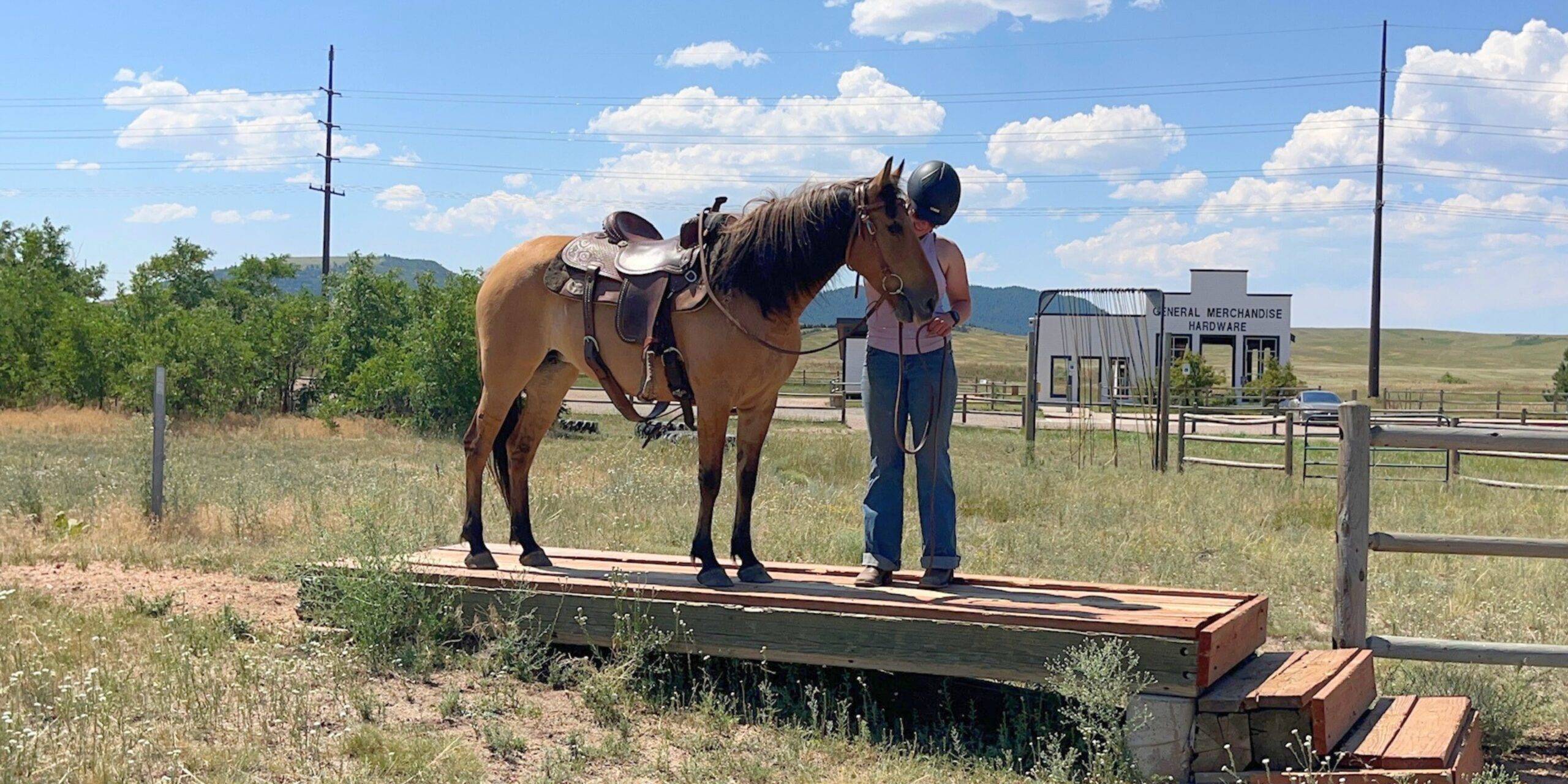 KR-Training-equine-matchmaking-horses-for-sale-colorado